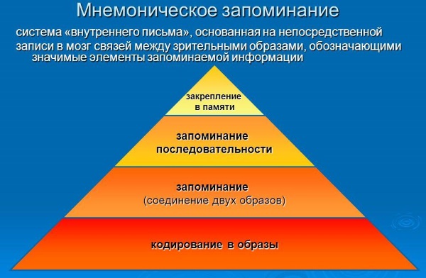 Мнемотехника для развития памяти взрослым: упражнения, тренировка. Как развить, улучшить память и внимание человека. Игры, стихи