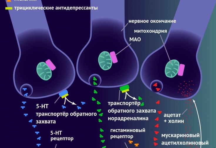 Сухие углекислые ванны: что это, лечебные свойства, показания к применению. Отзывы и цены