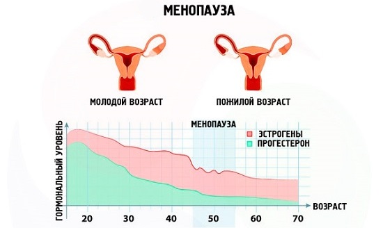 Как выбрать противозачаточные свечи, какие лучше после 40 лет, при грудном вскармливании, негормональные. Отзывы