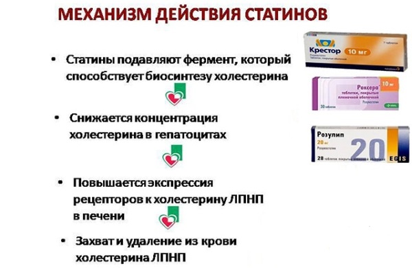 Статины последнего поколения, название препаратов: Розувастатин, Крестор, Питавастатин. Дозвы, польза и вред. Цена, отзывы