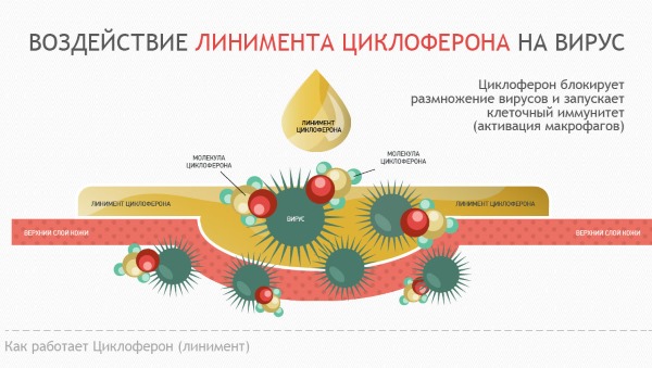 Таблетки от герпеса на губах последнего поколения: противовирусные, обезболивающие. Ацикловир, Валтрекс. Цены