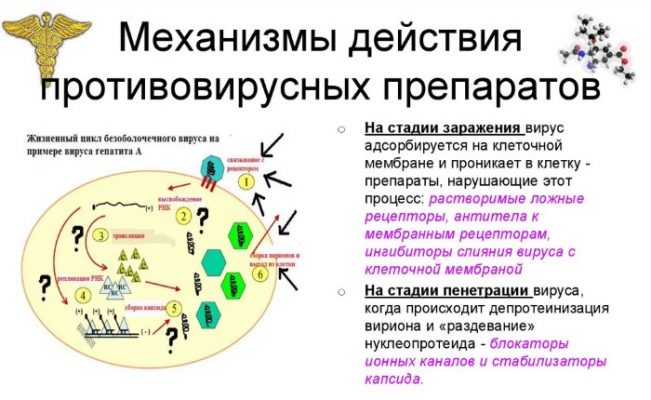 Валтрекс для профилактики герпеса схема лечения