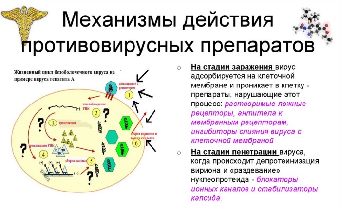 Таблетки от герпеса на губах последнего поколения: противовирусные, обезболивающие. Ацикловир, Валтрекс. Цены