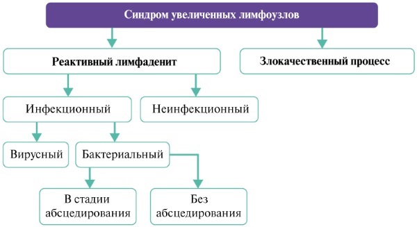 Причины и лечение воспалённых лимфоузлов на шее, если увеличенные, болят, опухли. УЗИ, диагностика и удаление