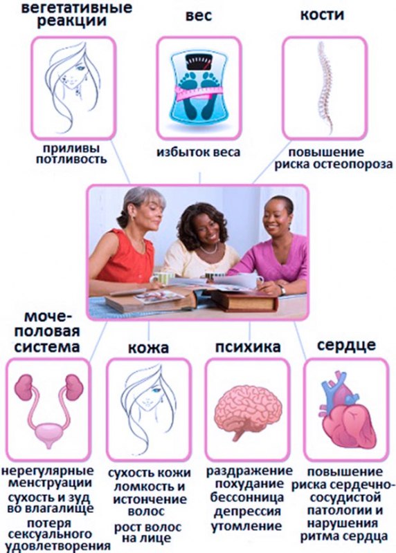 Саган дайля трава. Лечебные свойства, противопоказания, польза и вред, рецепт настойки