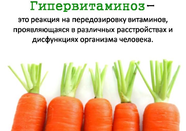 Жирорастворимые и водорастворимые витамины. Особенности, функции, суточная норма, где содержатся