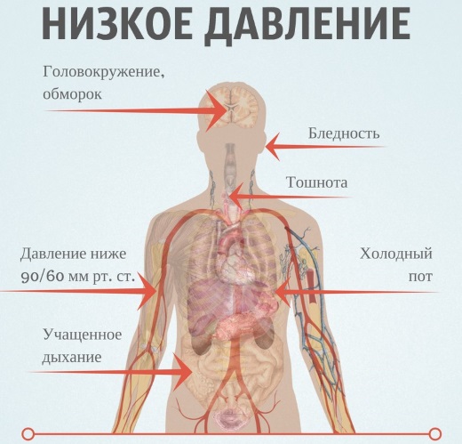 Чем поднять давление срочно в домашних условиях: взрослому, пожилому, беременной. Препараты, народные средства