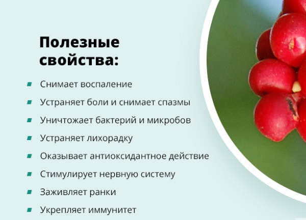 Чем поднять давление срочно в домашних условиях: взрослому, пожилому, беременной. Препараты, народные средства