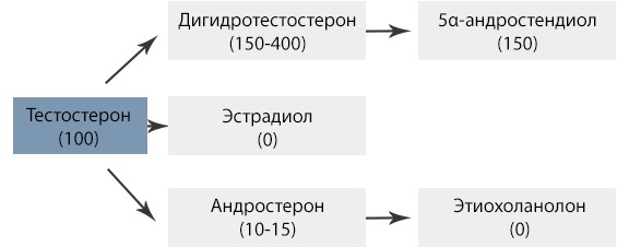 Дигидротестостерон. Норма, почему повышен у женщин, мужчин. Причины, симптомы, анализы на гормон, лечение народными средствами, препараты