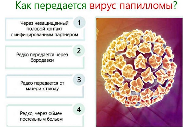 Эплан. Инструкция по применению крема, мази, масла, жидкий раствор, капли. Цена, отзывы врачей, аналоги