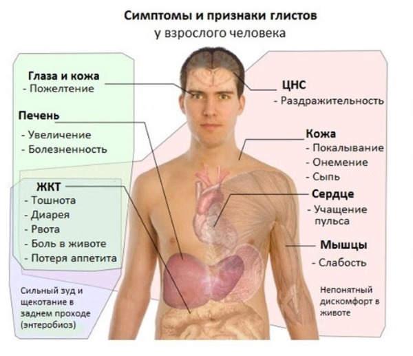 Как избавиться от запаха изо рта кислого, ацетона. Причины и лечение заболеваний желудка и рта, профилактика