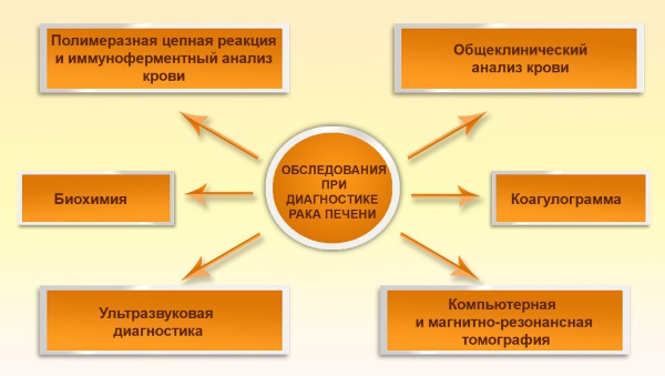 Коагулограмма: что это за анализ, расшифровка, норма в крови у взрослых. Для чего сдают при беременности, перед операцией, как делают гемотест, сколько дней