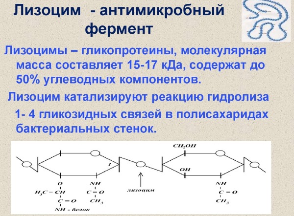 Лизобакт. Инструкция по применению для детей, женщин, при беременности. Цена, аналоги