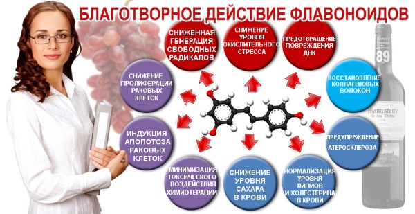 Медвежье ушко трава. Лечебные свойства и применение при цистите, ГВ, беременности, для детей