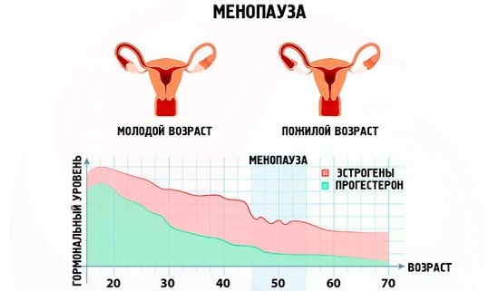 Менопаузальный период. Симптомы и лечение климакса, пред постменопауза. Гормонотерапия и сохранение здоровья женщины. Клинические рекомендации