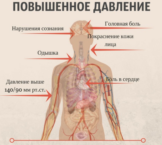 Нукс Вомика. Гомеопатия: показания к применению, инструкция для детей и взрослых. Цена, отзывы