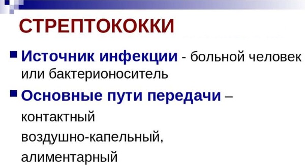 Стрептодермия у взрослых. Cимптомы и лечение, инкубационный период. Мази, антибиотики, народные средства