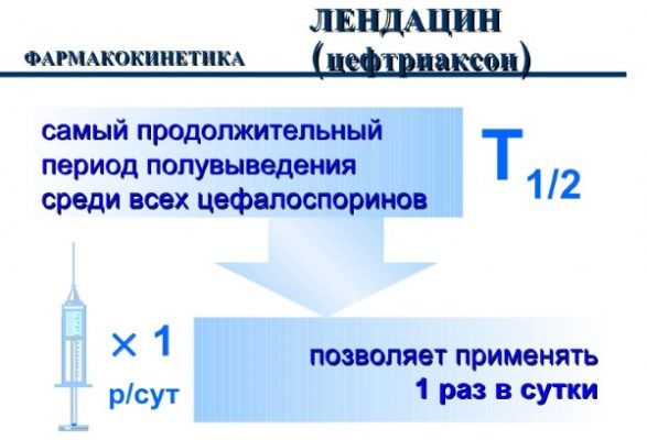 Цефтриаксон схема лечения