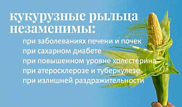 Желчный пузырь. Симптомы заболеваний, диагностика и лечение. Препараты, народные средства, диета