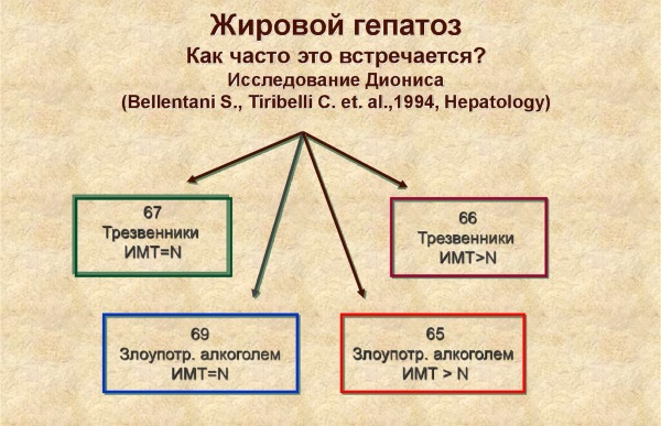 Жировой гепатоз печени. Симптомы и лечение медикаментозное, народными средствами, диета