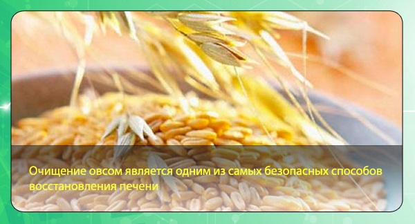 Жировой гепатоз печени. Симптомы и лечение медикаментозное, народными средствами, диета