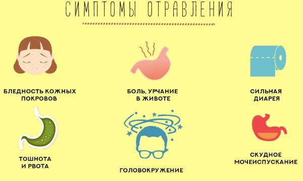 Адамово яблоко. Применение в народной медицине, свойства, способы лечения, настойка для суставов, похудения, потенции