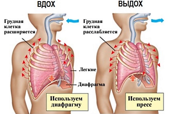 Болезни поджелудочной железы. Симптомы, признаки, причины и лечение. Таблетки, питание, диета, упражнения