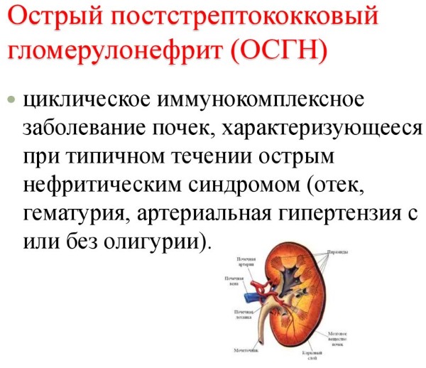 Чесотка у взрослых. Cимптомы, фото признаков, лечение в домашних условиях народными средствами, препараты