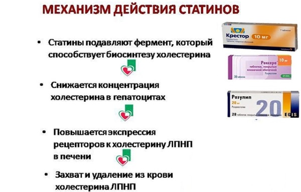 Чистка крови и лимфы в домашних условиях. Народные средства, травы, препараты, продукты питания. Советы врачей