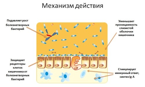 Частый стул понос у взрослого