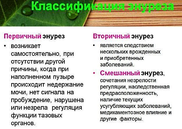 Энурез у детей, дневной, ночной. Причины, симптомы и лечение. Народные средства, медикаменты, рекомендации врачей