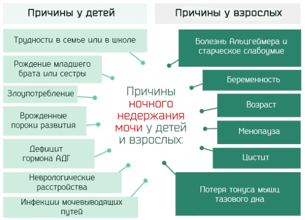 Энурез у взрослых женщин ночной. Причины и лечение