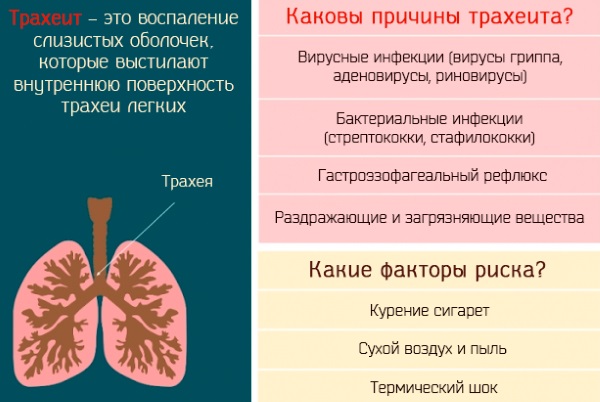 Грудной эликсир. Инструкция по применению для детей, состав, как принимать от кашля, от чего помогает