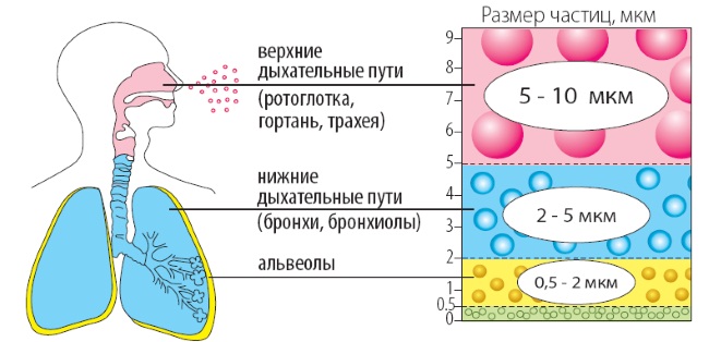 Ингалятор для детей от кашля и насморка: универсальный небулайзер, ультразвуковой, компрессорный. Рейтинг, цены