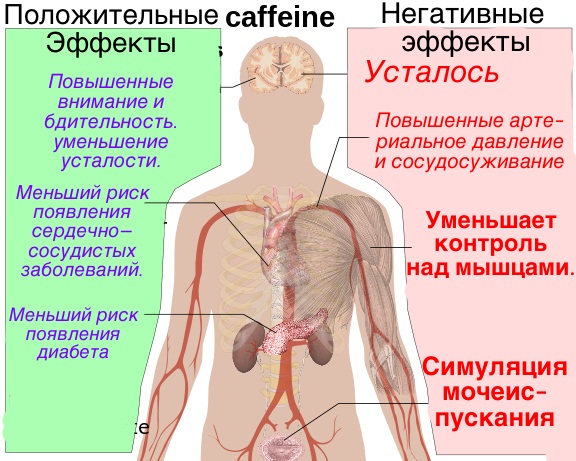 Как избавиться, средства от похмелья. Народные, препараты при болях в желудке, высоком давлении, ВСД