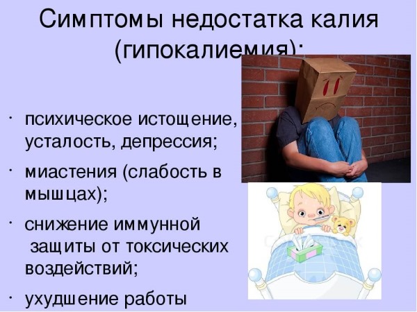 Калий в продуктах питания. Где содержится. Список источников, богатых на калий и магний, растительного и животного происхождения