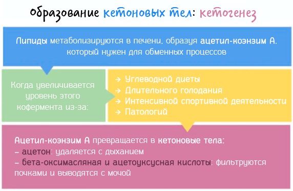 Кетоновые тела в моче. Что значит повышены, слабо-положительно. Норма ммоль/л, анализ, тест-полоски