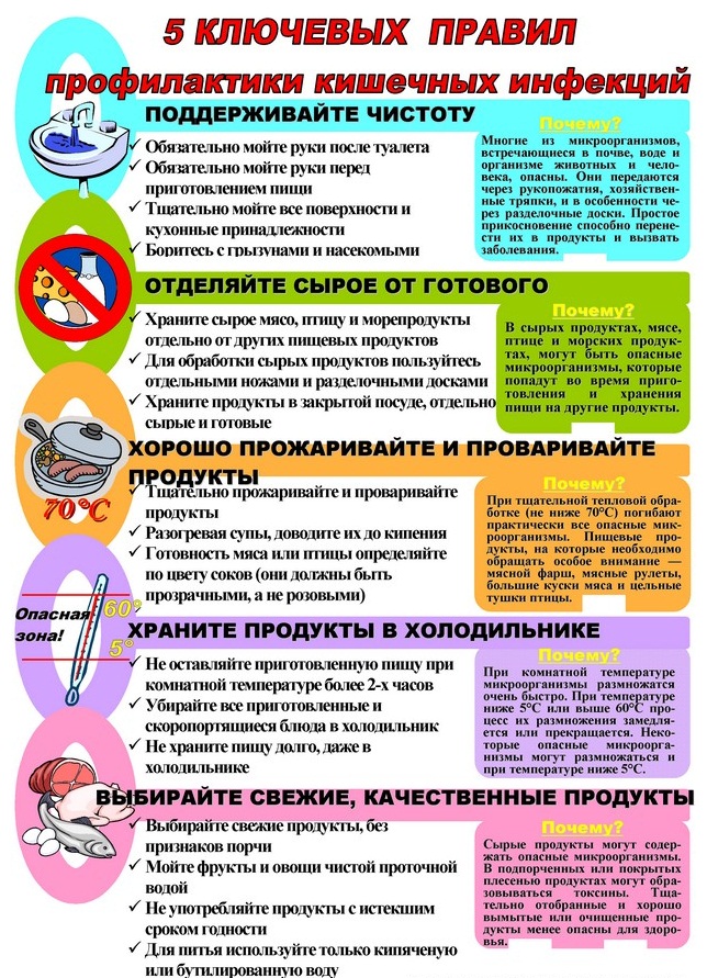 Кишечная инфекция: виды, признаки симптомы и лечение у взрослых народными средствами, антибиотики. Что можно есть