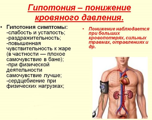 Лапчатка белая, корень. Применение, лечение щитовидной железы. Как приготовить, принимать настой, противопоказания