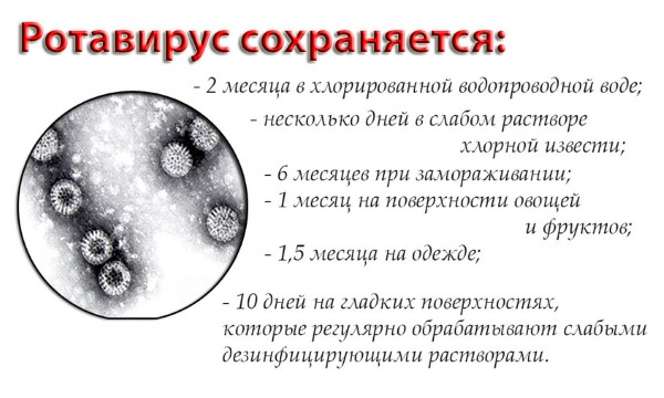 Лечение ротавирусных инфекций у взрослых антибиотиками, народными средствами, препараты, лекарства, диета. Сколько длится инкубационный период, как передается, симптомы