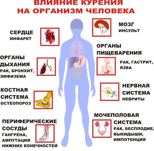 Металлический привкус во рту. Причины, от чего у женщин при беременности, после еды, с утра. Как убрать