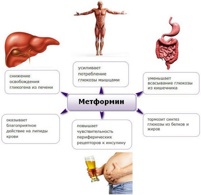 Метформин. Инструкция по применению, как принимать для похудения. Цена, отзывы врачей