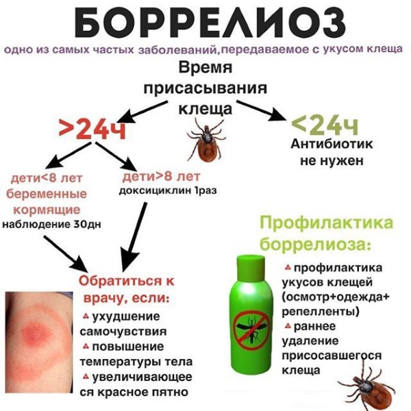 Неврит лицевого нерва. Симптомы и лечение народными средствами, препараты, массаж. Причины, сроки выздоровления, последствия, фото