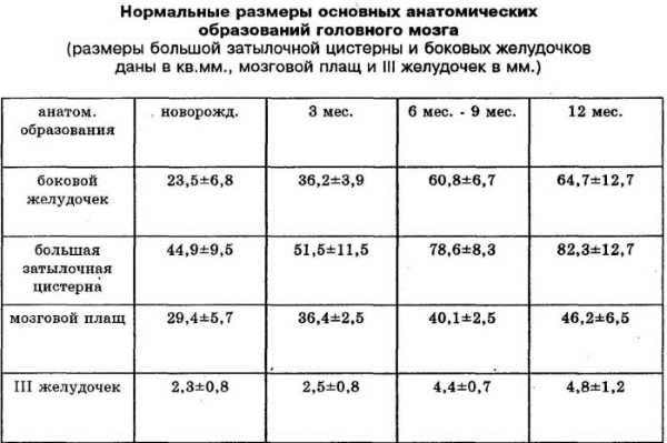 Нейросонография головного мозга у новорожденных. Нормы, таблица, когда делается, расшифровка результатов