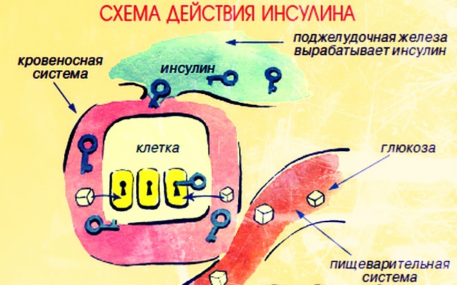 Норма сахара в крови по возрасту: таблица, симптомы повышенного. Медикаментозное лечение, диета, народные средства