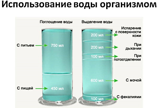 Обезвоживание организма у взрослых. Причины, симптомы и лечение в домашних условиях