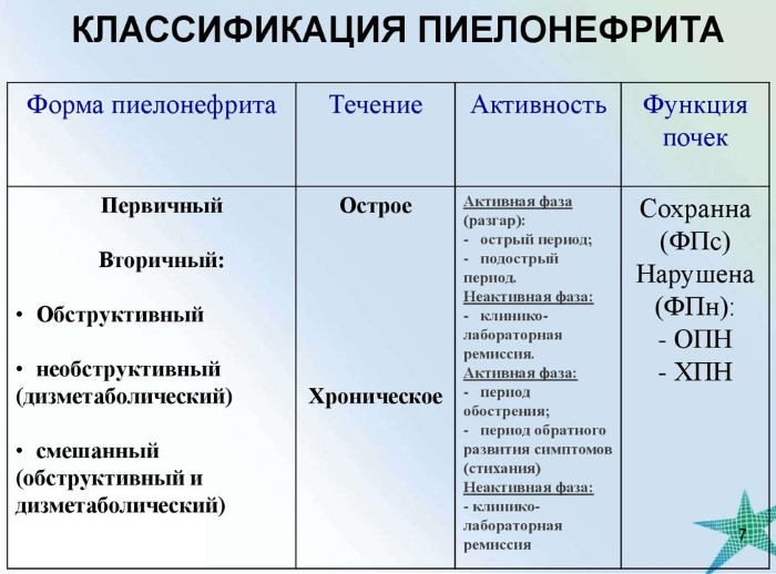 Пиелонефрит у женщин. Симптомы и лечение народными средствами, антибиотики, диета. Причины заболевания почек, классификация