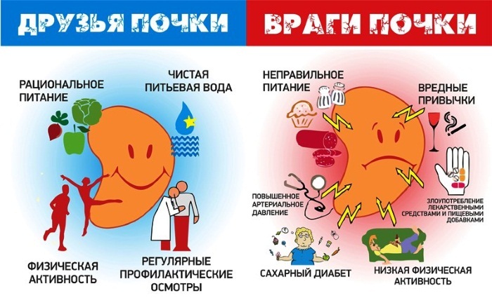 Почечная недостаточность. Симптомы у женщин, острая, хроническая, терминальная, преренальная. Стадии, признаки, причины и лечение