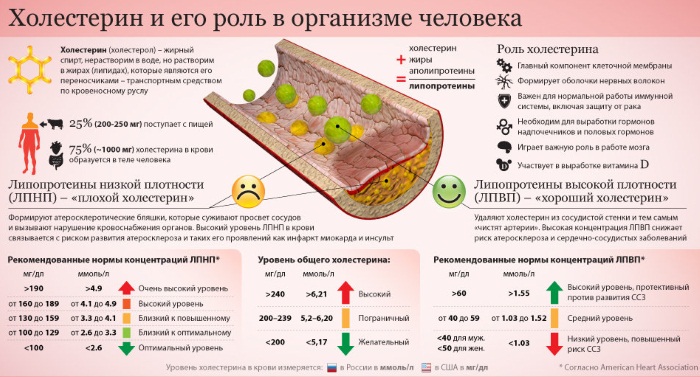 Препараты для снижения холестерина. Названия, средства нового поколения, гомеопатические, растительные, статины. Цены