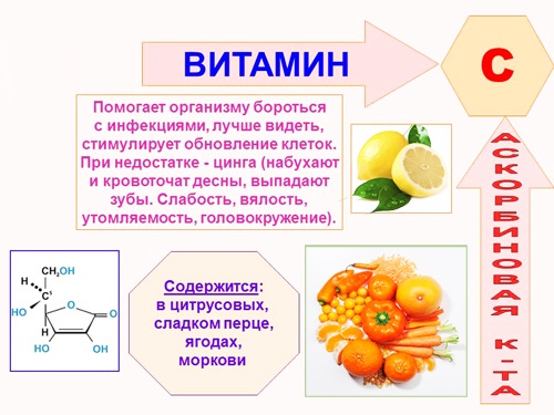 Препараты для снижения холестерина в крови у женщин, мужчин. Названия .